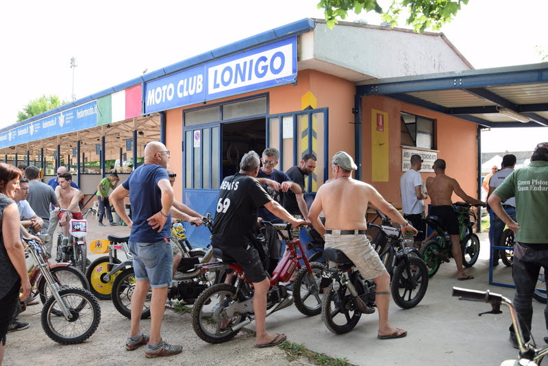 Lonigo