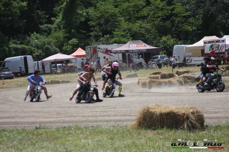 Wildays