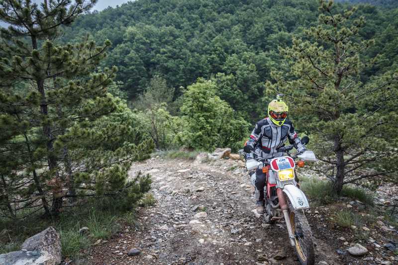 Clover Dakar