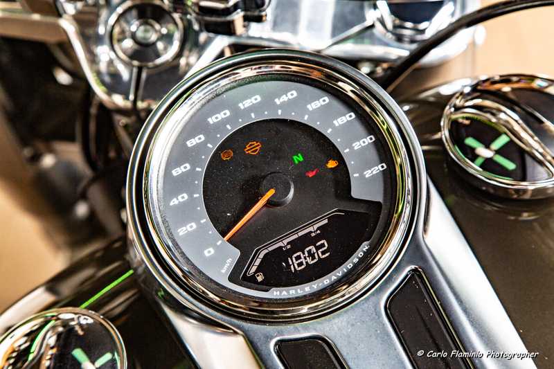 Harley Davidson
