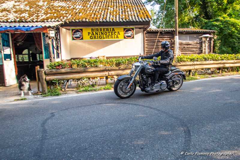 Harley Davidson