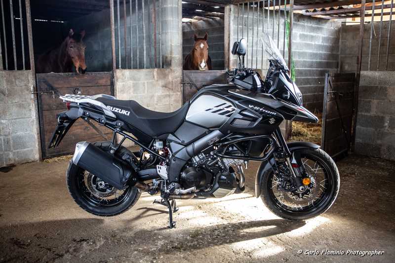 Suzuki Cavalletto