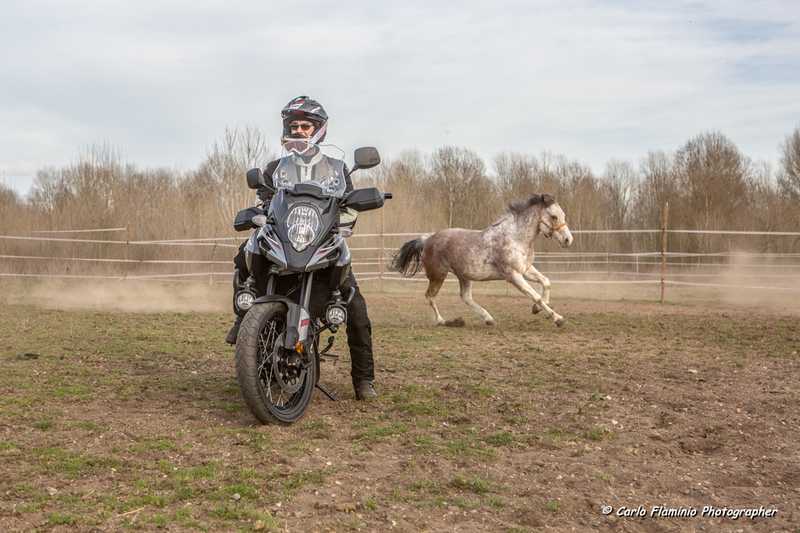 Cavalli V-Strom 1000