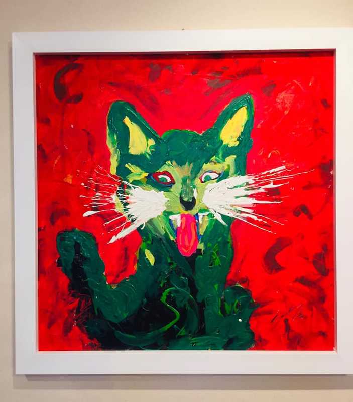 Gatto verde