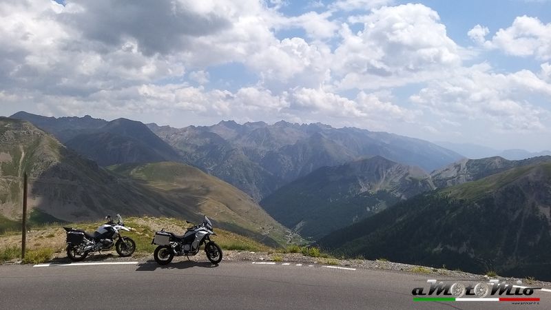 lombarda bonette