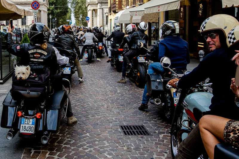 2019 DGR Novara
