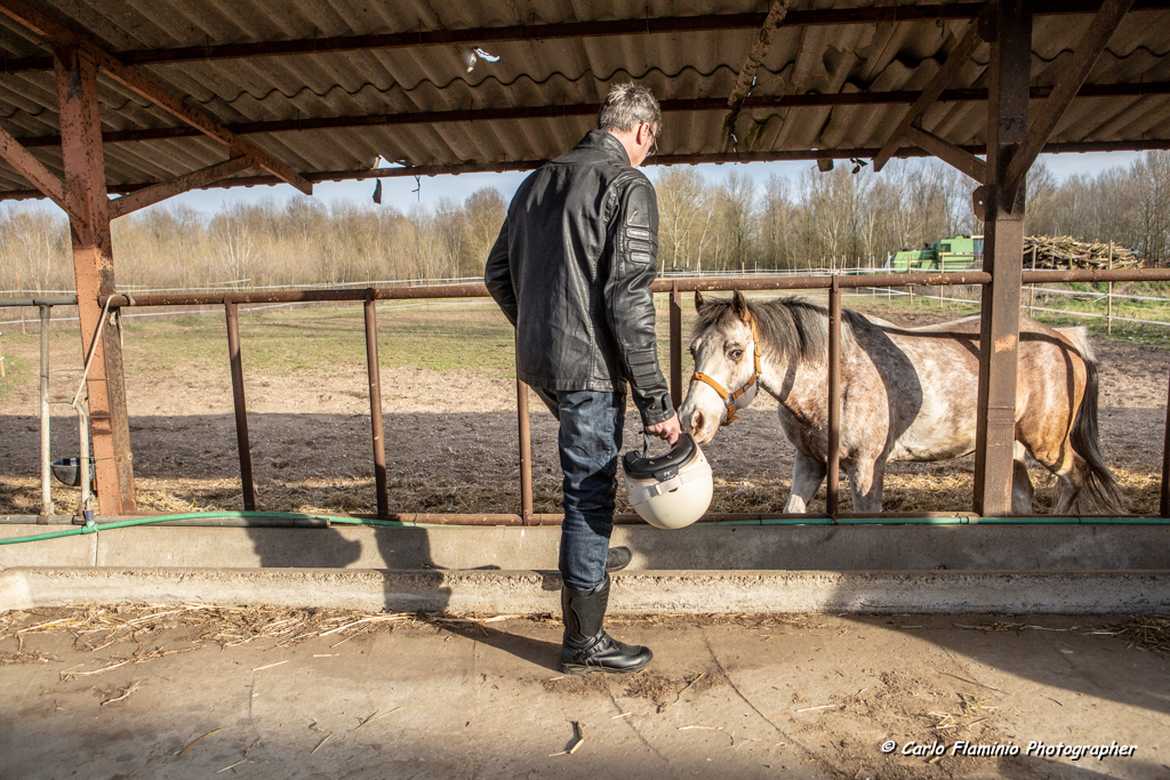 Cavallo curioso Caberg