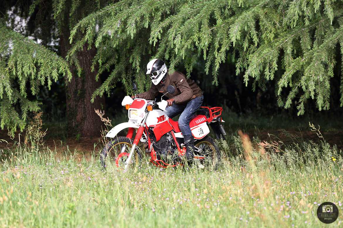 LS2 MX471 Roberto Serati
