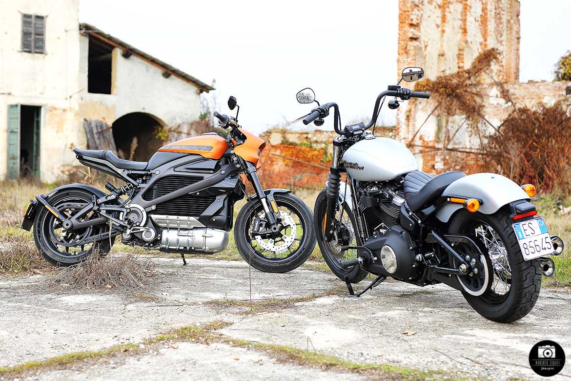 Livewire VS Street Bob 1 Livewire VS Street Bob 1