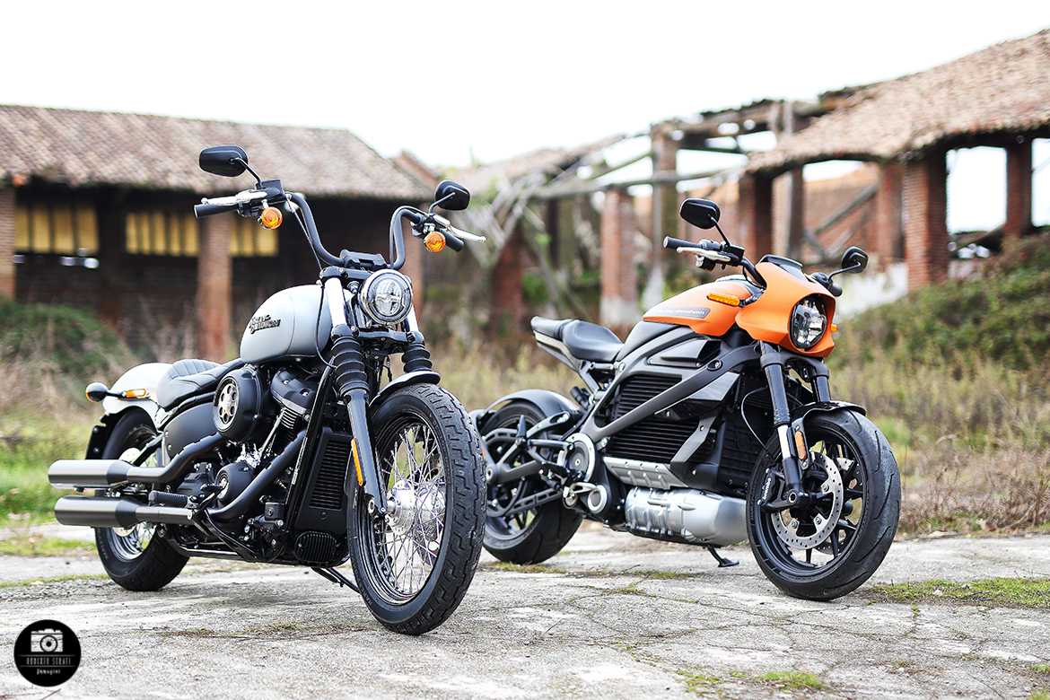 Livewire VS Street Bob 3 Livewire VS Street Bob 3