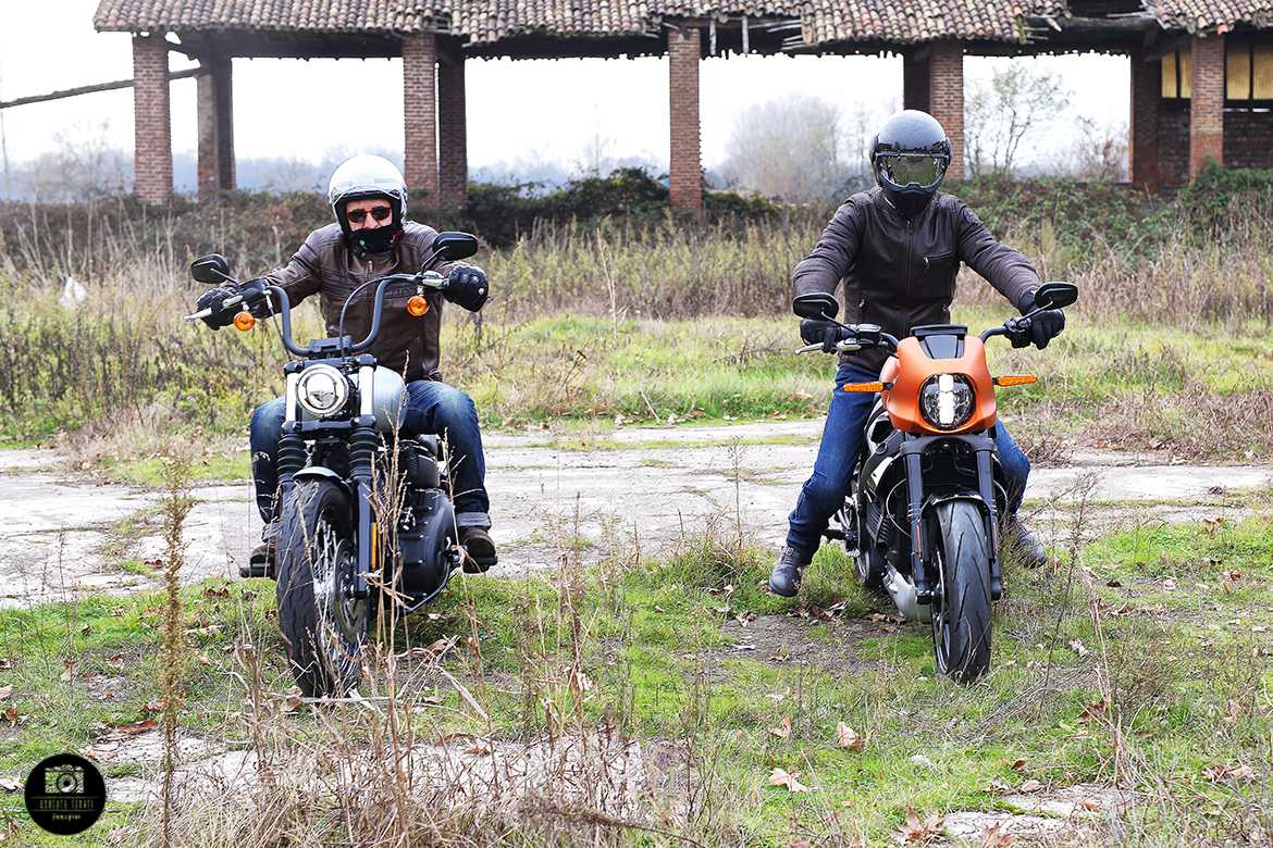 Livewire VS Street Bob 7 Livewire VS Street Bob 7