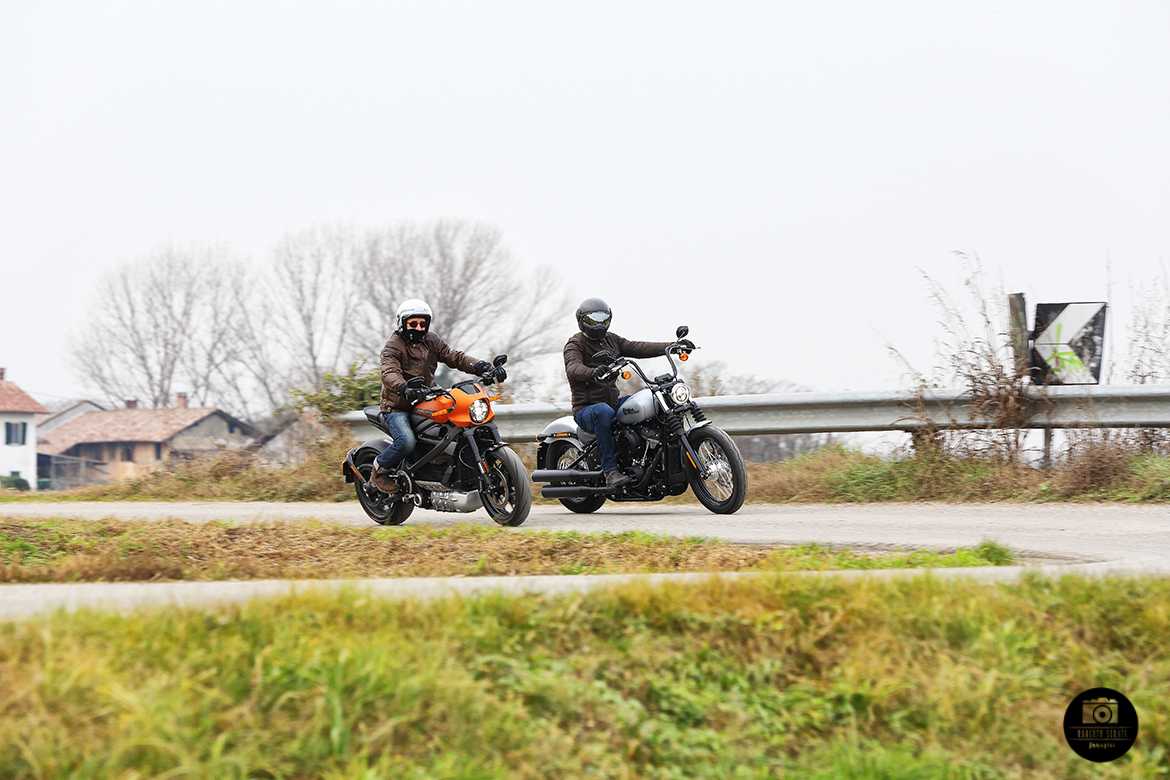 Livewire VS Street Bob 6 Livewire VS Street Bob 6