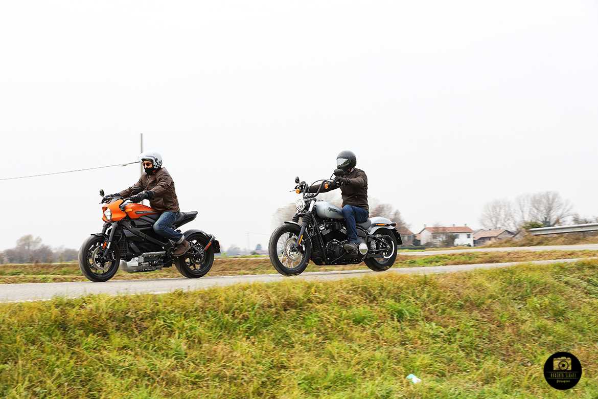 Livewire VS Street Bob 5 Livewire VS Street Bob 5