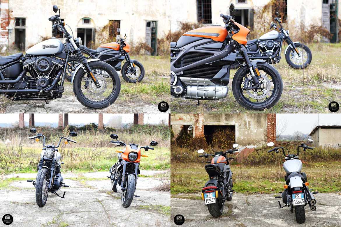 Livewire VS Street Bob 2 Livewire VS Street Bob 2