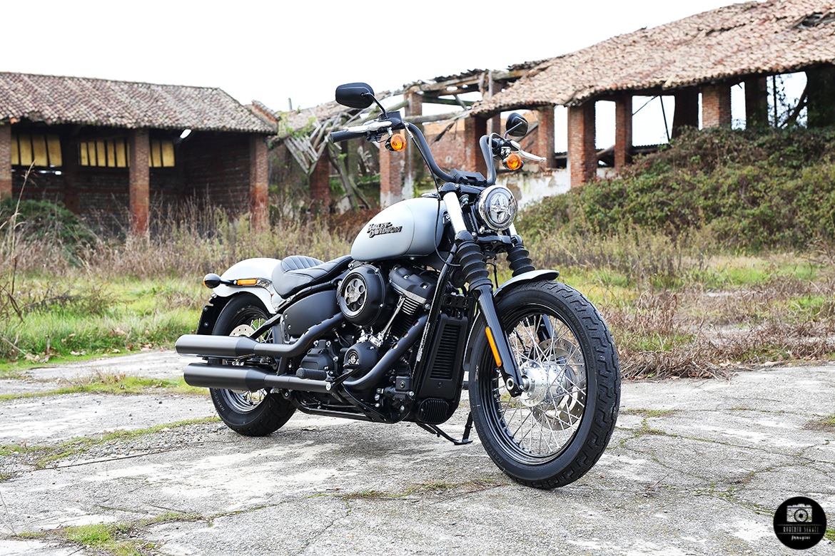 harley davidson street bob