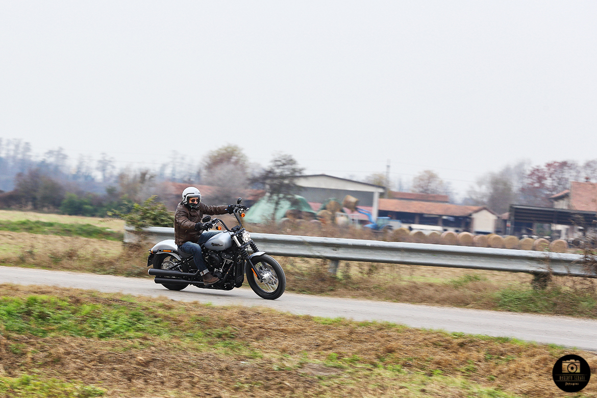 harley davidson street bob