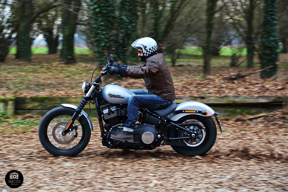 harley davidson street bob
