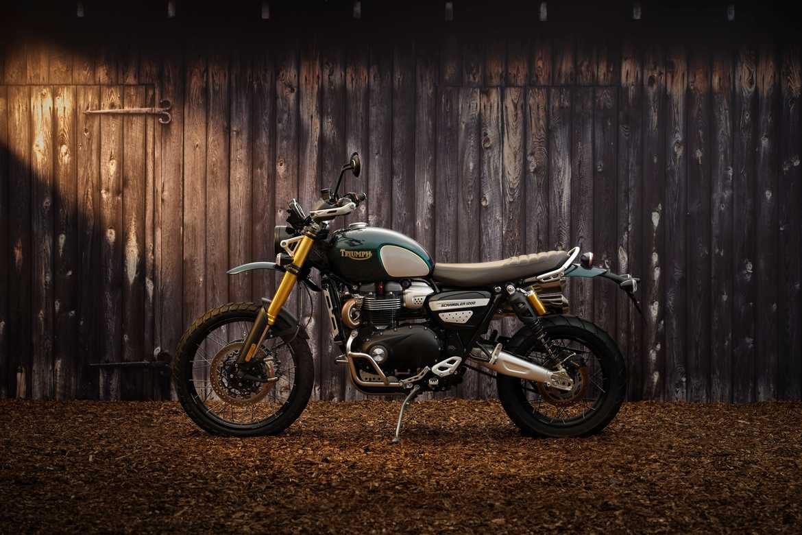 Triumph_Steve 1