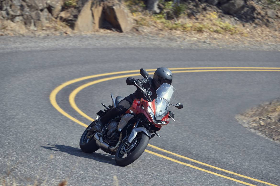 Triumph Tiger 660 action