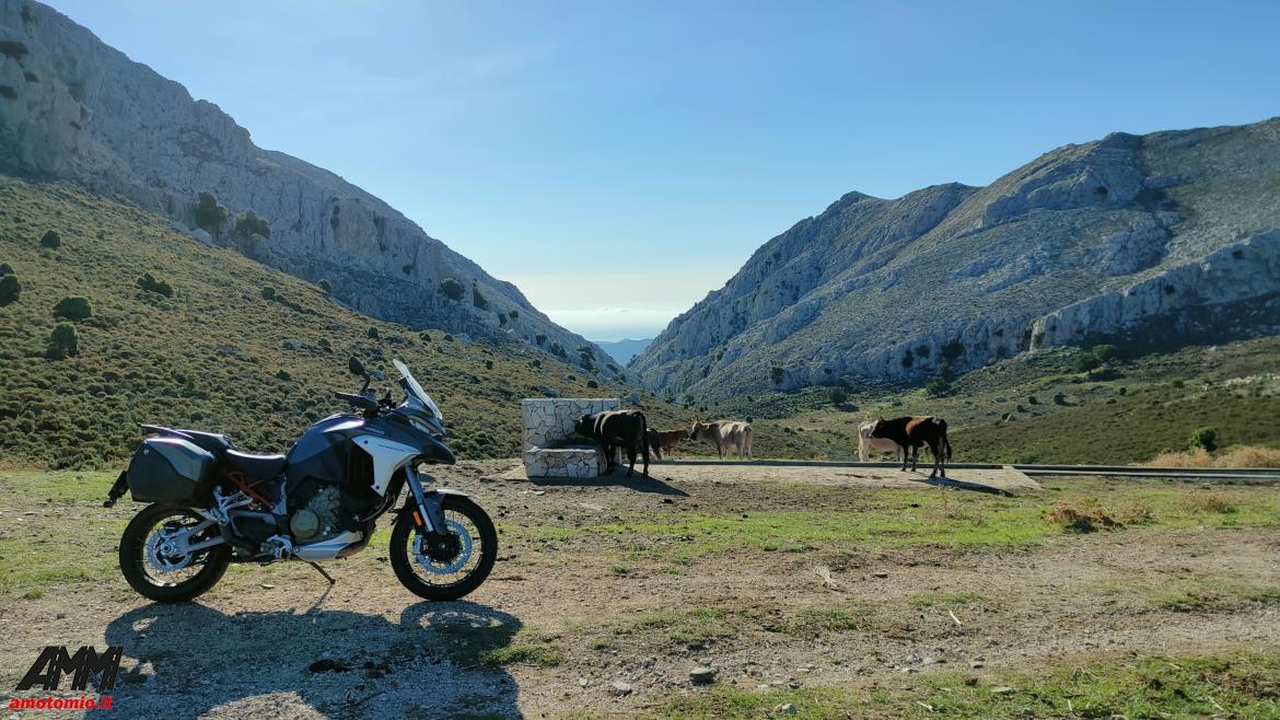 sardegna