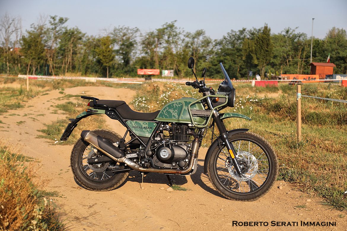 Himalayan 1
