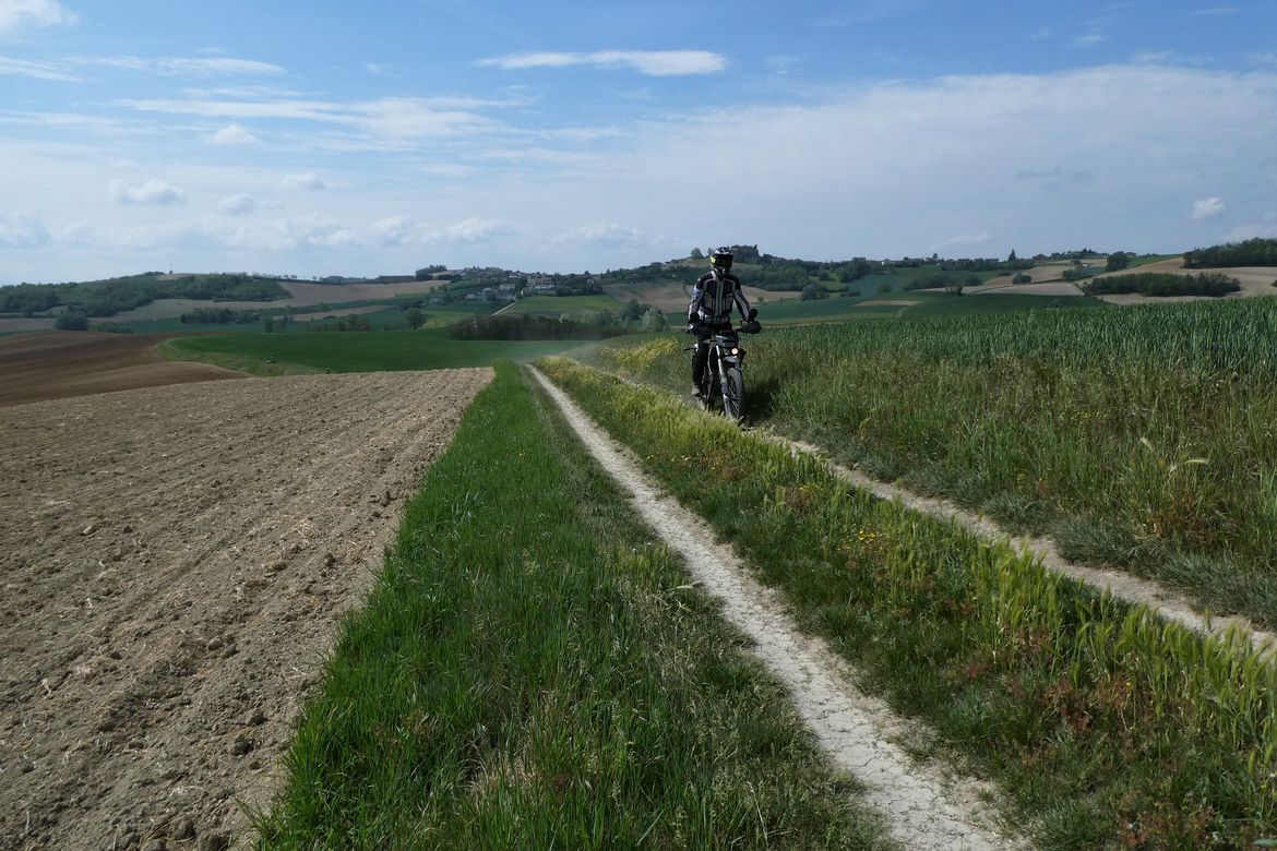 Motorgreen 4