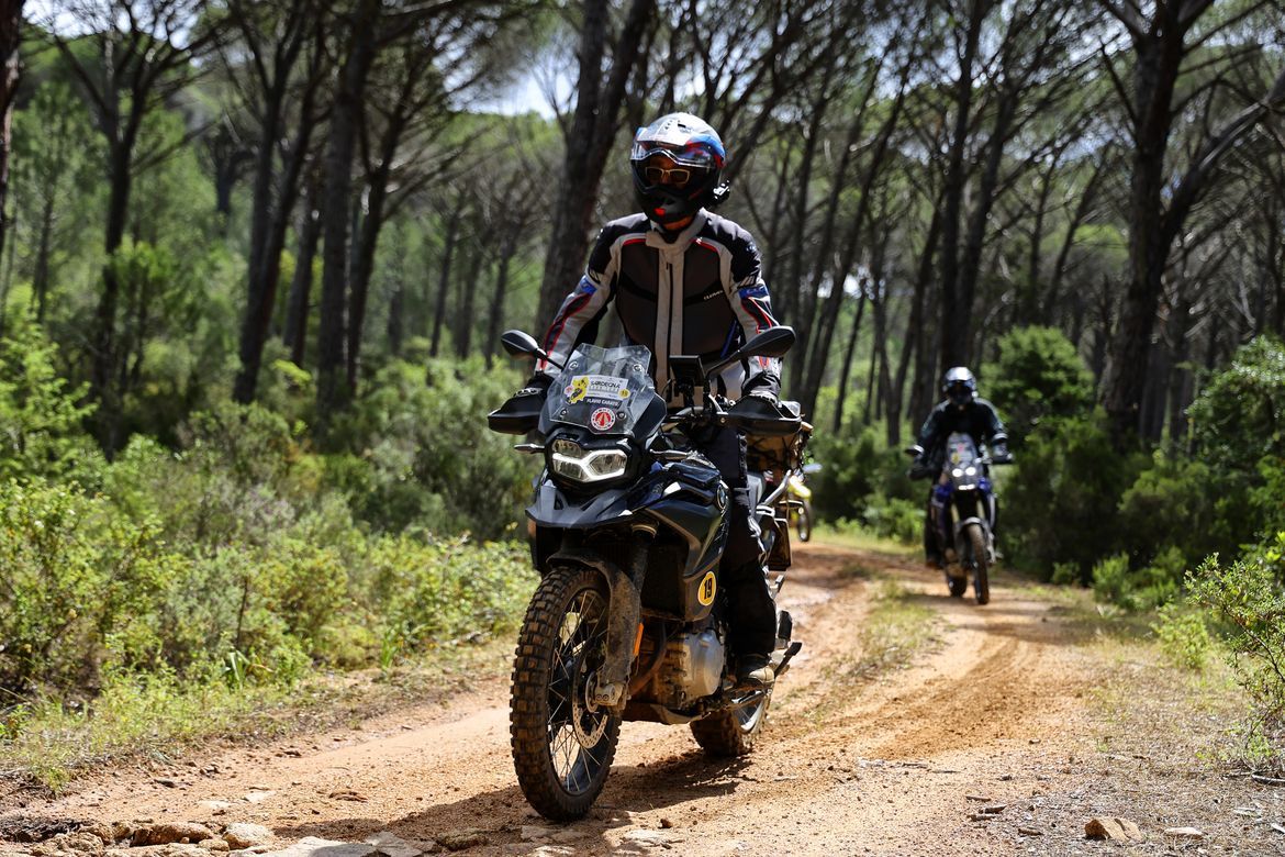 Clover Dakar-2