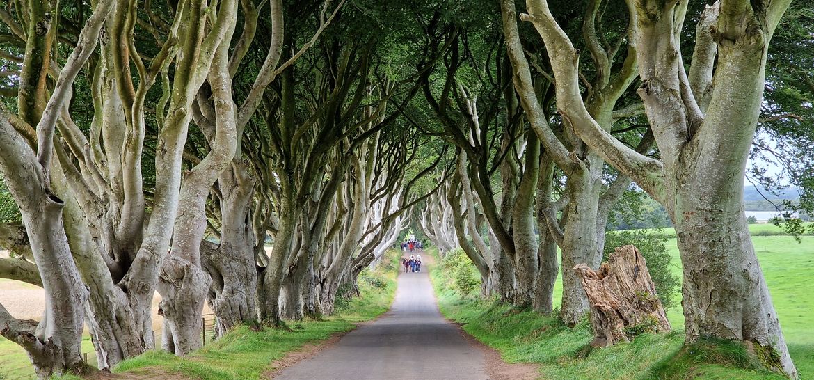 Irlanda 2 Irlanda 2