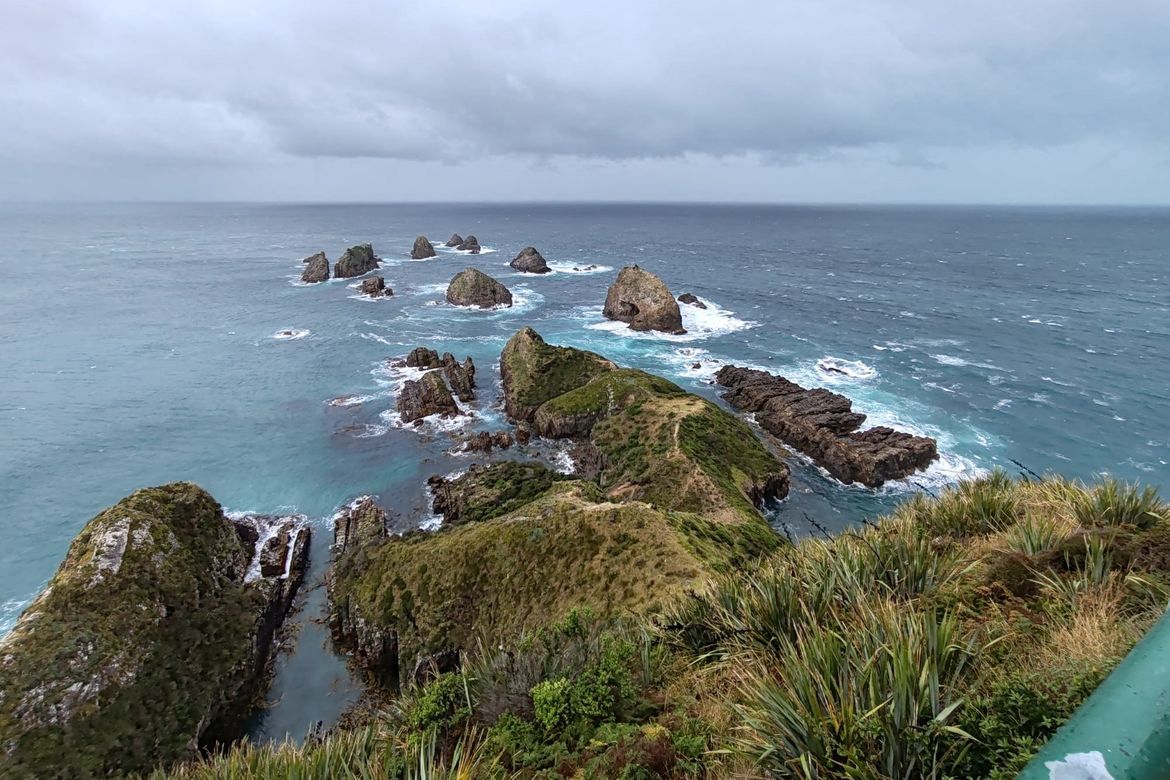 New Zealand 19 Febbraio New Zealand 19 Febbraio