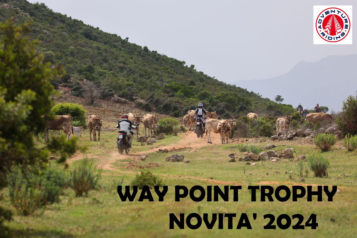 IL WAY POINT TROPHY 
