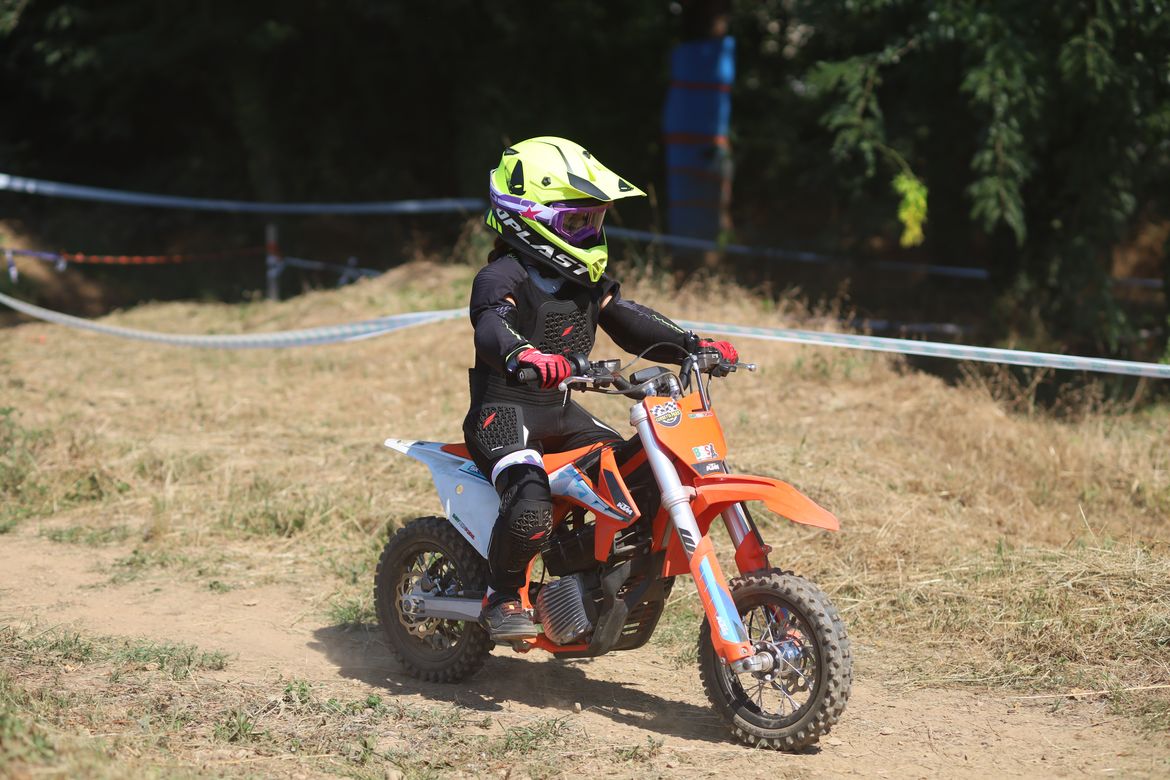 zandona kid