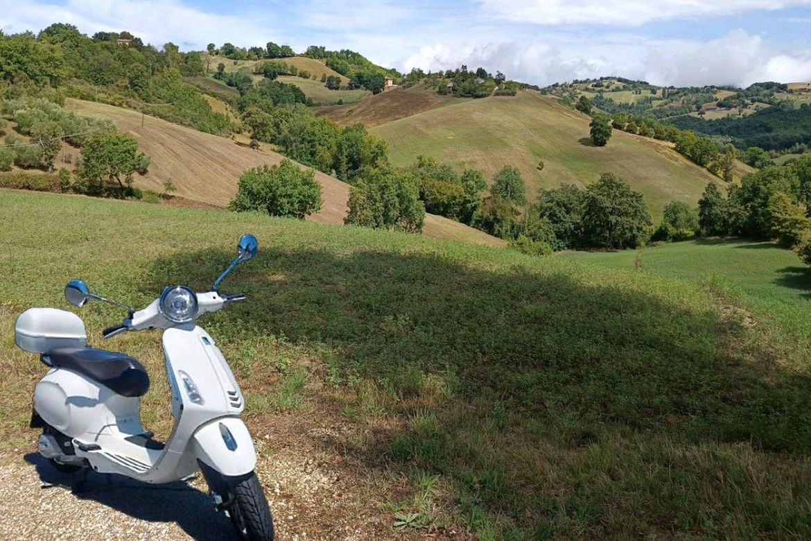 Bianchi Assisi 5