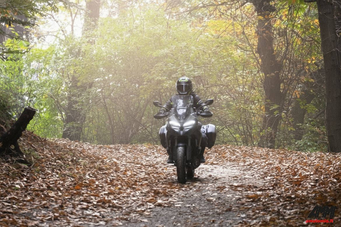 DUCATI MULTISTRADA V2 3