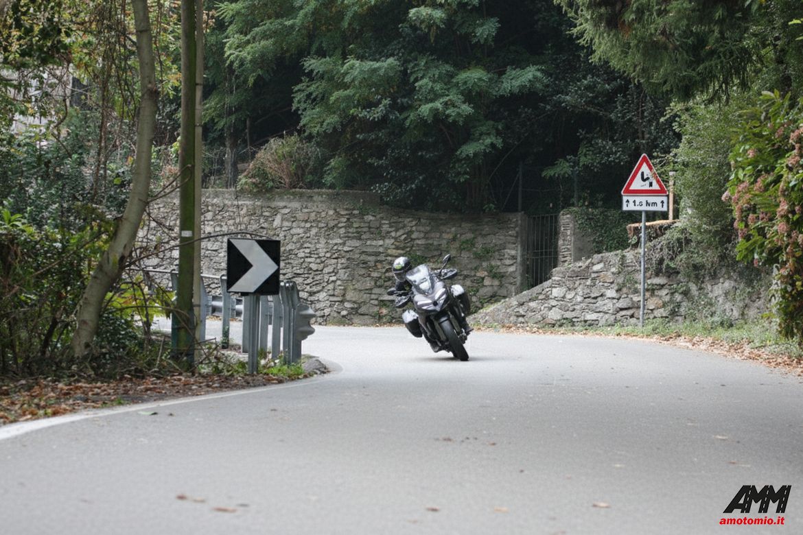 DUCATI MULTISTRADA V2 8