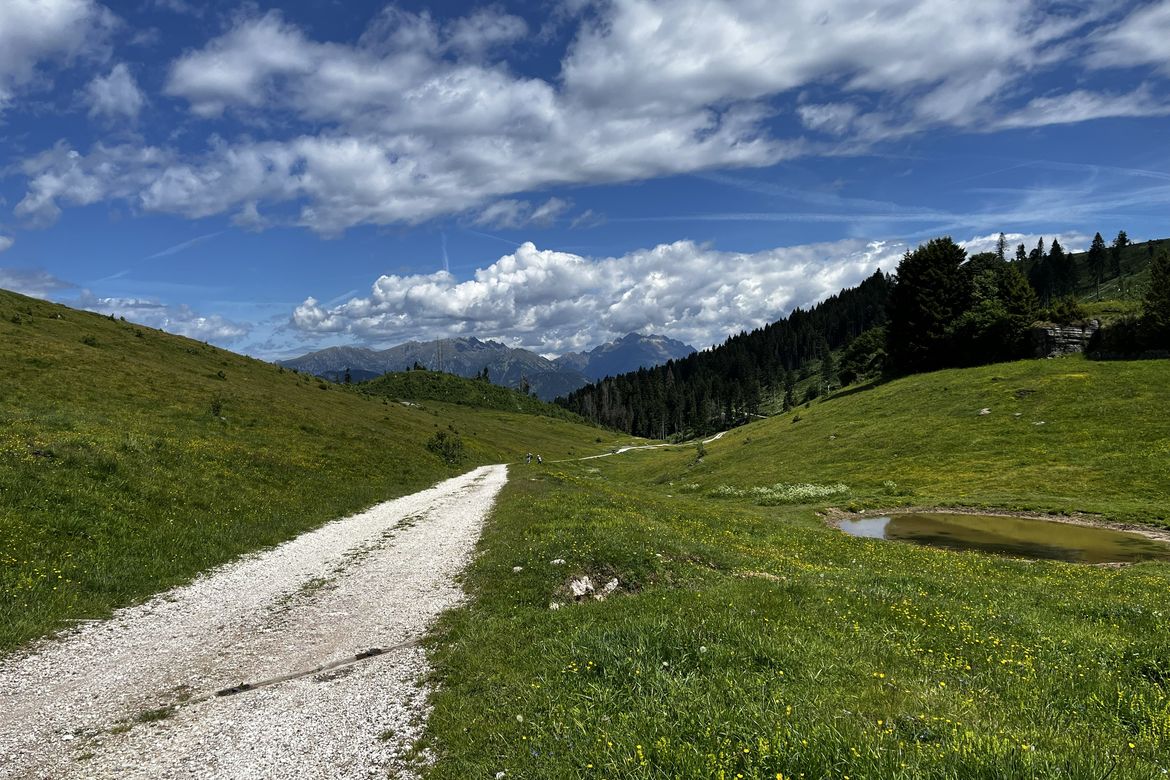 Rally Altopiano Asiago 4
