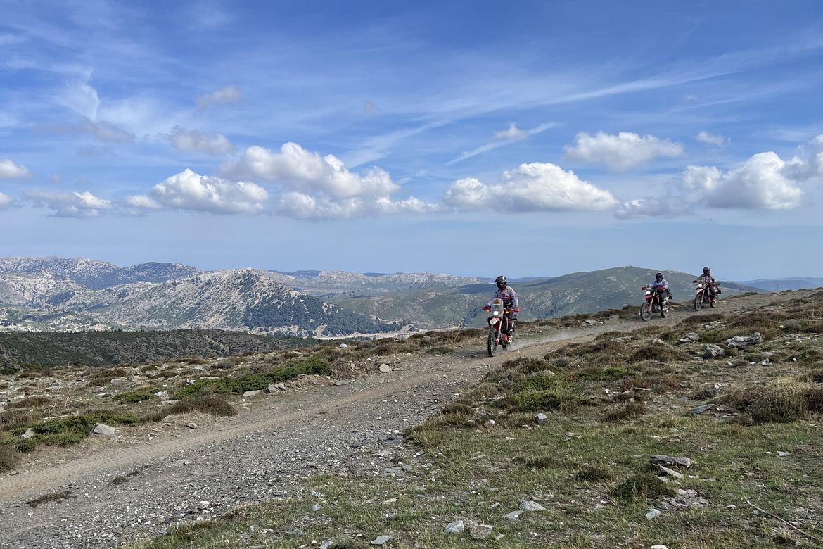 Dal tacco al tassello swank rally 2026